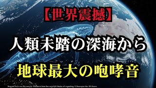 科学者が明かす深海の謎の巨大生物の正体【 都市伝説 怖い話 考察 オカルト 陰謀論 】