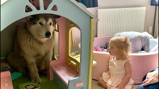 Giant Sulking Dog Hides In Kids House To Avoid BATH TIME!!