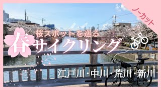 【サイクリングコース】桜スポットを巡る春サイクリング 江戸川・中川・荒川・新川（ノーカット 4倍速 50km 2024.4.7）#ミニベロ #サイクリング #ポタリング