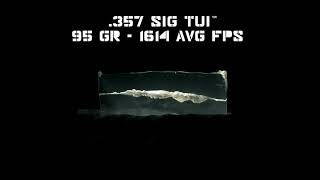 Fort Scott Munitions™ 95 gr .357 Sig TUI™ vs. Clear Ballistics Gel