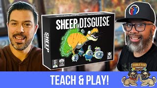 Sheep in Disguise: The Action Doesn't Stop Until All the Flocks Are Collected!