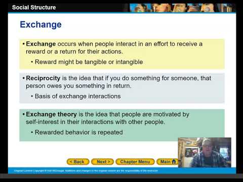 Which is a group with statuses and roles that are organized to satisfy one or more basic needs of a society?