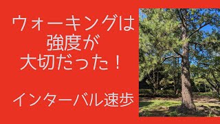 「やや早歩き」がなぜ効果的なのか？書籍『ウォーキングの科学』から解説します。