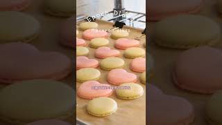 一起來做可愛的馬卡龍吧！！ #烘焙課程 #蛋糕課程 #macaron