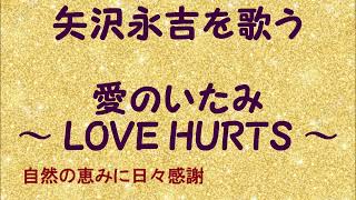 『愛のいたみ～LOVE HURTS～』／矢沢永吉を歌う_607　by 自然の恵みに日々感謝