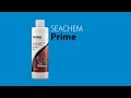 Seachem Prime (English Sub)