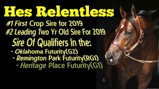 AQHA SIRE: HES RELENTLESS COMMERCIAL 2019