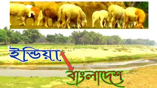 3 নং আলোয়াখোয়া বর্ডারে আজকে বেড়াতে এলাম | আটোয়ারী/পঞ্চগড় | No. 3 Aloyakhoya Border | Vlog Travel