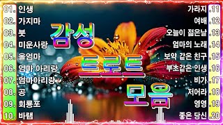 감성 트로트 모음 KPOP (TROT) PLAYLIST 💃 (꽃길.상사화.여인의 눈물.회룡포.바람길.김희재.장민호.지은.홍지윤.정동원.영탁...)