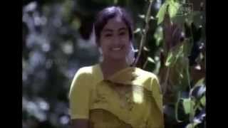 Vishupakshi Chilachu ( Ilanjippookkal 1986 )