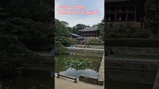 조선 왕들의 안식처 창덕궁과 비원 #shorts #palace #secret garden