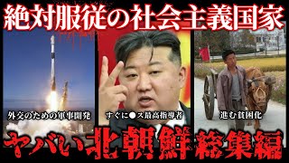 【北朝鮮のヤバすぎる実態総集編】たっくーTVまとめ_作業用・睡眠用