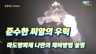 태안 마도방파제 준수한 씨알의 우럭 박카스급 붕장어 생활낚시 방파제 원투 낚시