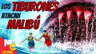 Terror En Malibú: Los Tiburones Atacan - Película De Acción Y Desastre Completa En Español