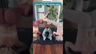 Puppy Pose 🐕 Flipping my dog 🤸🏼‍♀️ #yoga​ #downwarddog​ #threeleggeddog​ #balance​ #shorts