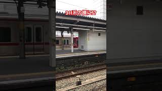 311系の横に珍客現る!? @豊橋駅 #shorts