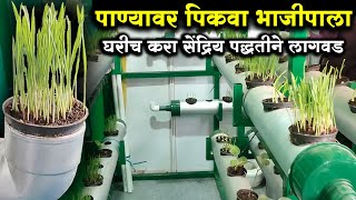 माती विना शेती : आता पाण्यावरच पिकवा भाजीपाला | Hydroponic Farming In Marathi | Shivar News 24