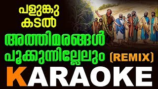 Athimarangal Pookunnillelum Lyrics (Remix Karaoke) | Palunkukadal | Fr Shaji Thumpechirayil