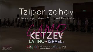 Tzipor Zahav - Michael Barzelai | ציפור זהב - מיכאל ברזלי