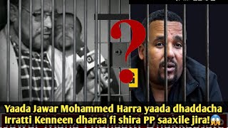 Yaada Jawar Mohammed Harra yaada dhaddacha Irratti Kenneen dharaa fi shira PP saaxile jira 😱