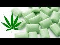 Marijuana Gum For Fibromyalgia Pain Relief: Would You Try This?