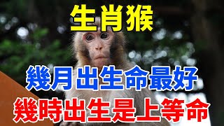 【生肖猴】屬猴人的生辰八字！生肖猴幾月出生命最好呢？什麼時辰出生是上等命？詳細解讀屬猴人一生命運！【佛語禪音】#生肖 #命理 #運勢 #屬相 #風水