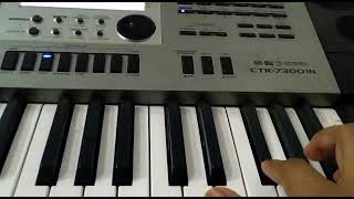 Nagin dhun Mai Teri dushman  nagin tune cover  on piano