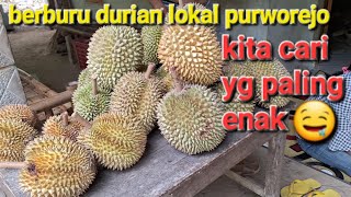 BERBURU DURIAN LOKAL PURWOREJO DI PENGEPUL DURIAN