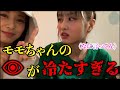 【TWICE】モモのツウィを見る目が冷たすぎる...【日本語字幕】