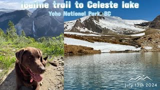 Iceline trail to Celeste Lake, Yoho National Park - July 13th 2024