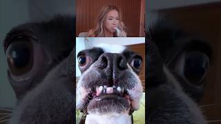 Try Not To Laugh Challenge 758