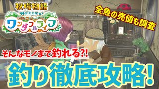 【Welcome!ワンダフルライフ】釣りをコンプしたい：ネタバレ注意【牧場物語】