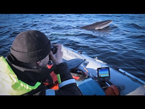Рыбаки поймали подводную лодку Рыбаки поймали подводную лодку