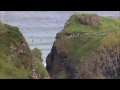 the carrick a rede rope bridge experience