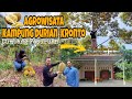 AGROWISATA DURIAN KRONTO PASURUAN | Yuk kita petik Durian langsung dari pohonnya !!