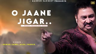 O Jaane Jigar - Kumar Sanu | Alka Yagnik | Yeh Hai Jalwa | Kumar Sanu Hits Songs