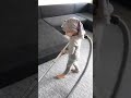يلا نساعد ماما