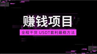 赚钱 2025国外捞金项目 冷项目赚钱方法颠覆赚钱的思维 最新灰产USDT灰产项目 一月搞百万的路子