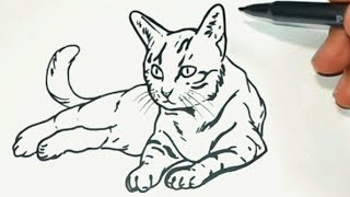 Como desenhar um gato!!! 🐈🐈