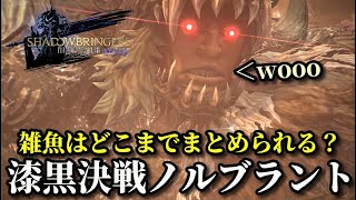 【FF14】漆黒決戦ノルヴラントで雑魚を最大限まとめてみました