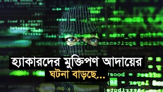 হ্যাকারদের মুক্তিপণ আদায়ের ঘটনা বাড়ছে | Bangla Business News | Business Report 2021