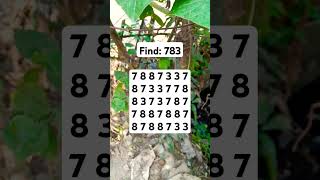 Observation Visual Test: 5 Seconds For You To Spot 783. Try Your Skills! #search #puzzle #shorts