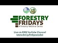 Forestry Fridays Module 1 DAY 1 (Morning Session)