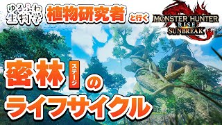 密林にそびえる巨大樹の一生とは？植物研究者と調査するモンハンサンブレイク