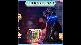 Renna's  Dog Rechargeable LED Safety Collar For Dog Collar And Leash Cat Collar Pet Collar For Cat