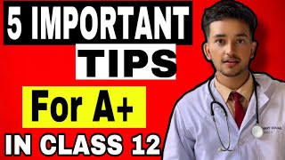 CLASS 12 NEB Exam | 5 Best Study Tips To Get A+  In Neb Board Exam | How to prepare for NEB Exam?