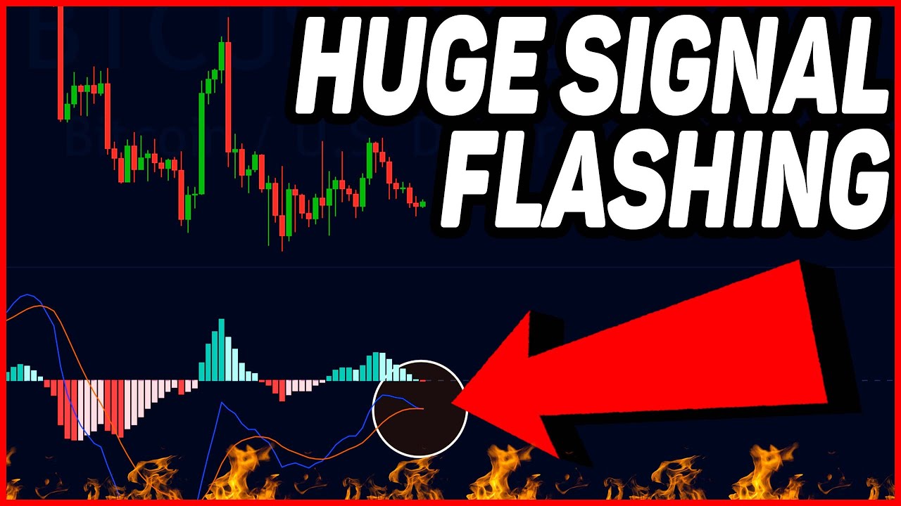 HUGE BITCOIN SIGNAL FLASHING!! [danger] Bitcoin Price Prediction, US ...