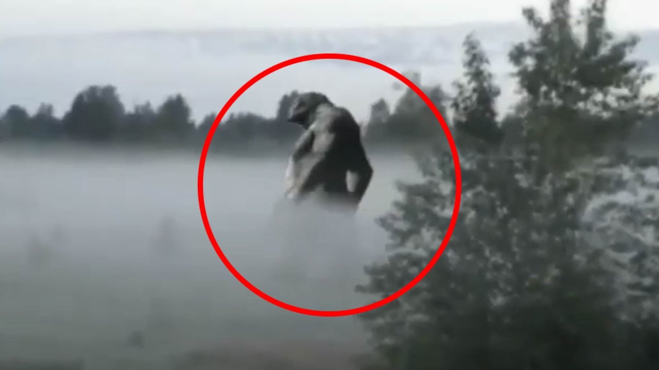 5 Giant Creature Sighting Caught On Camera - Paranormal TOP 5 - YouTube