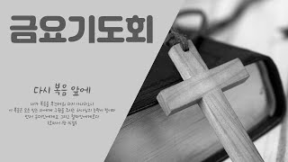 금요기도회(2025-02-14, 승리하는 그리스도인, 김웅배 담임목사)