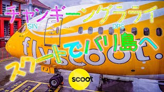 【インドネシア】シンガポール発 scootでバリ島へ チャンギーングラライ 🇮🇩